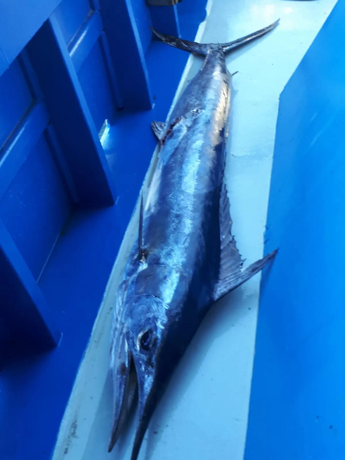 Pescaturismo