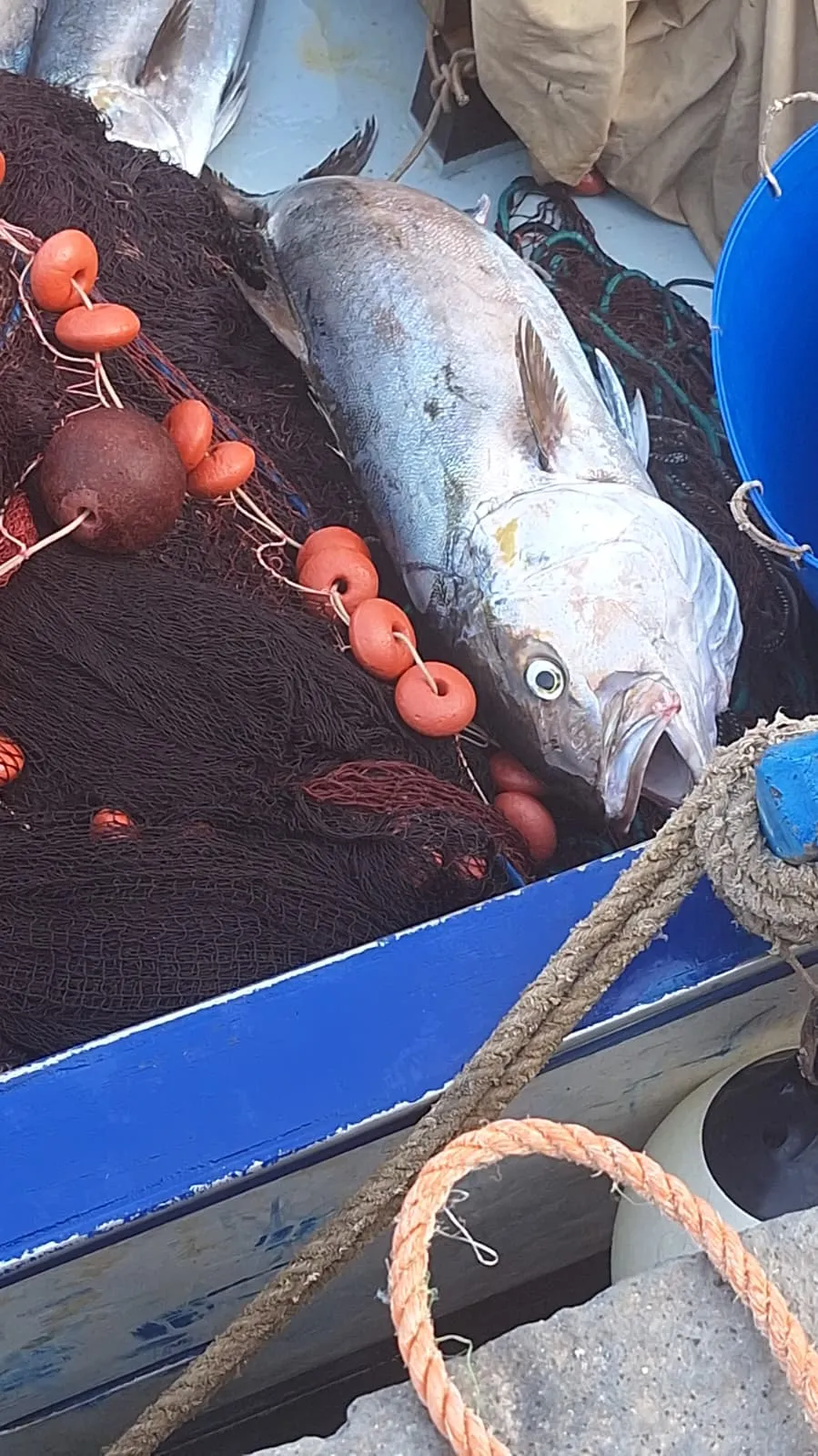 Pescaturismo