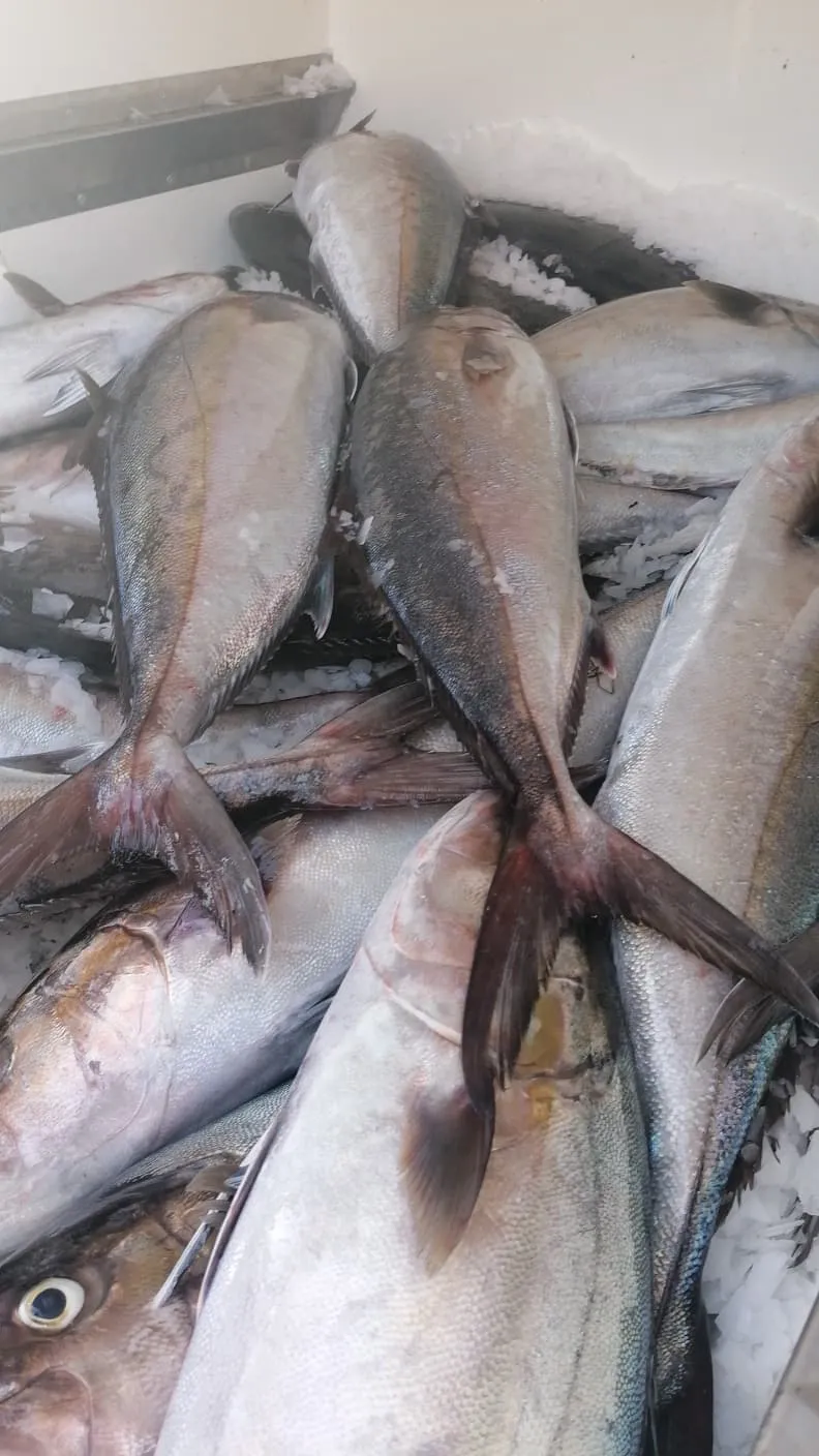 Pescaturismo