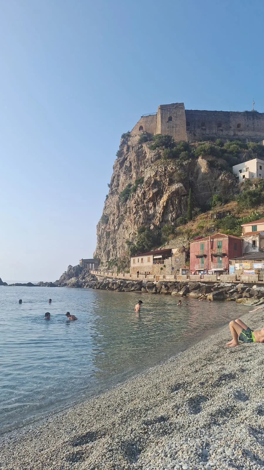 Scilla
