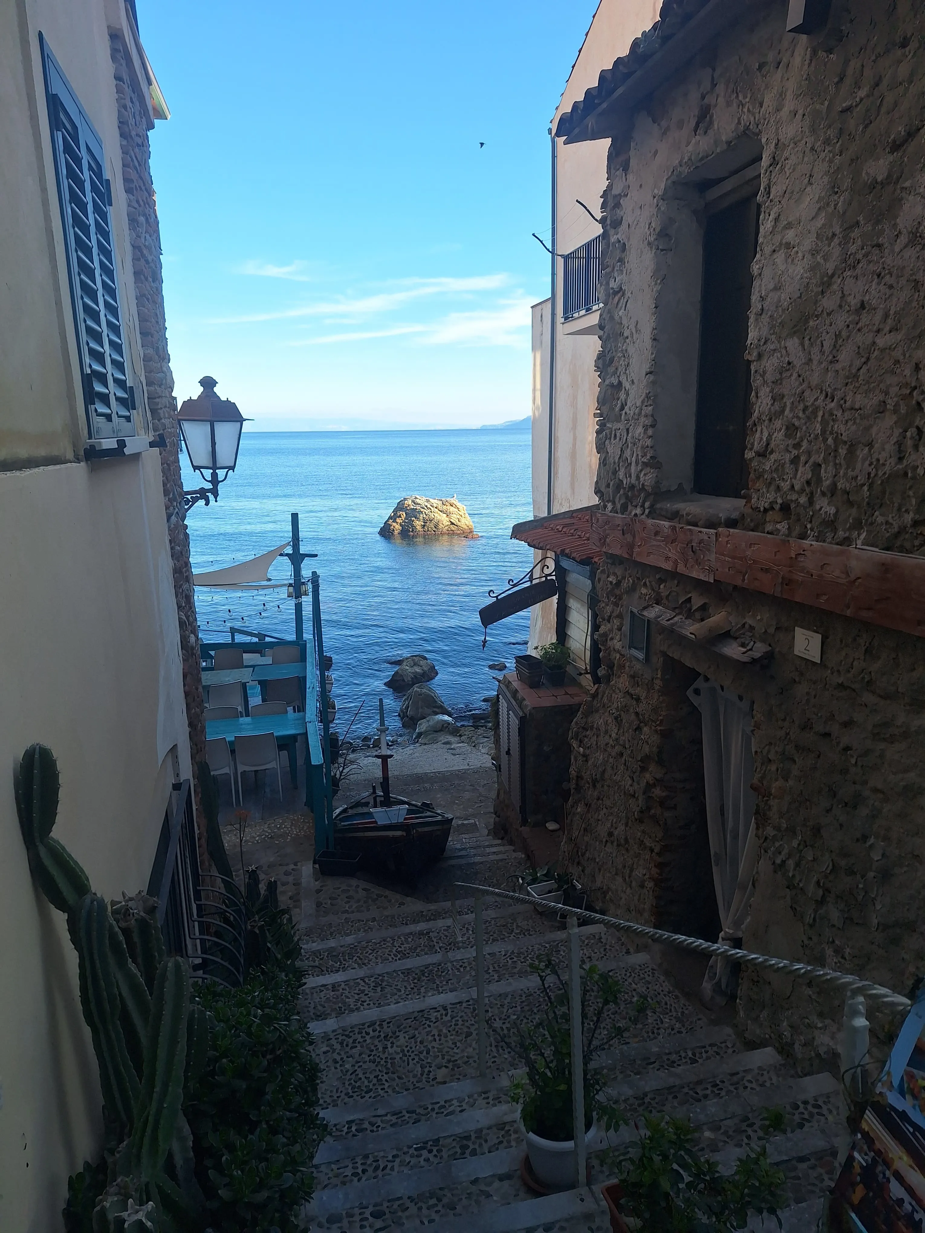 Scilla