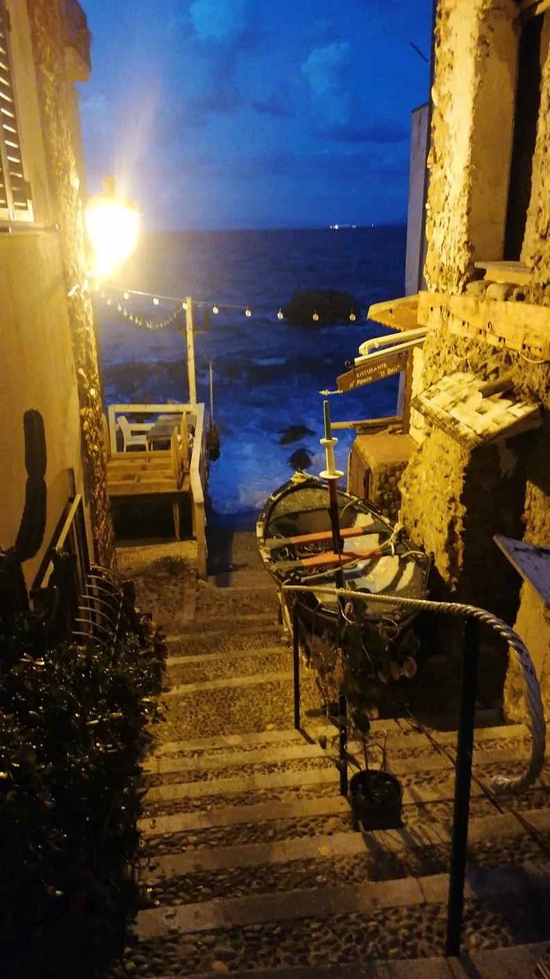 Scilla