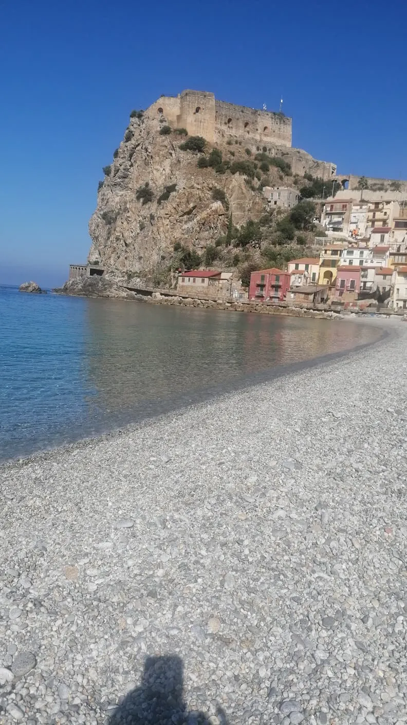 Scilla