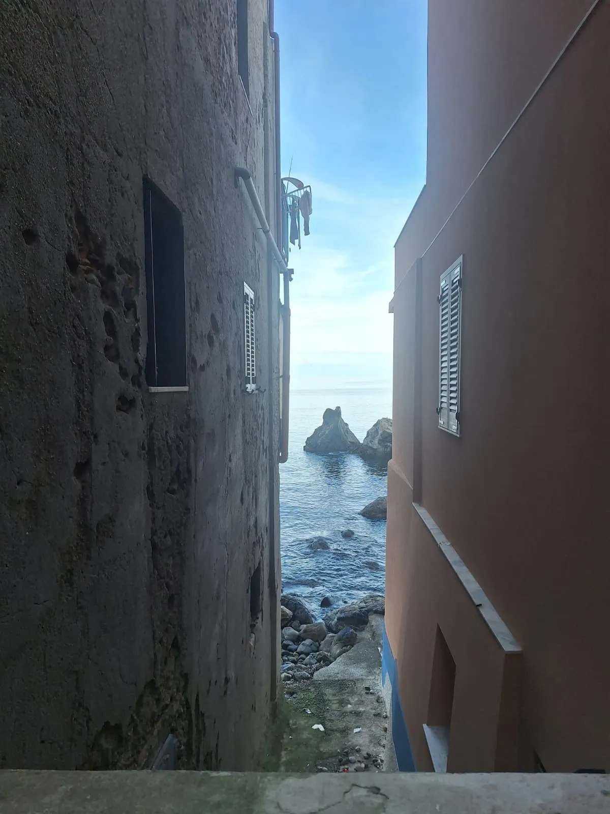 Scilla