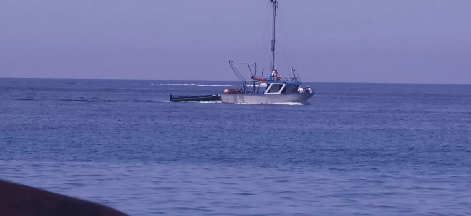 Scilla