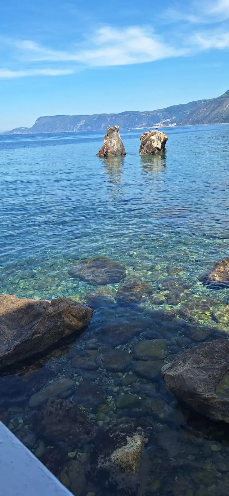 Scilla