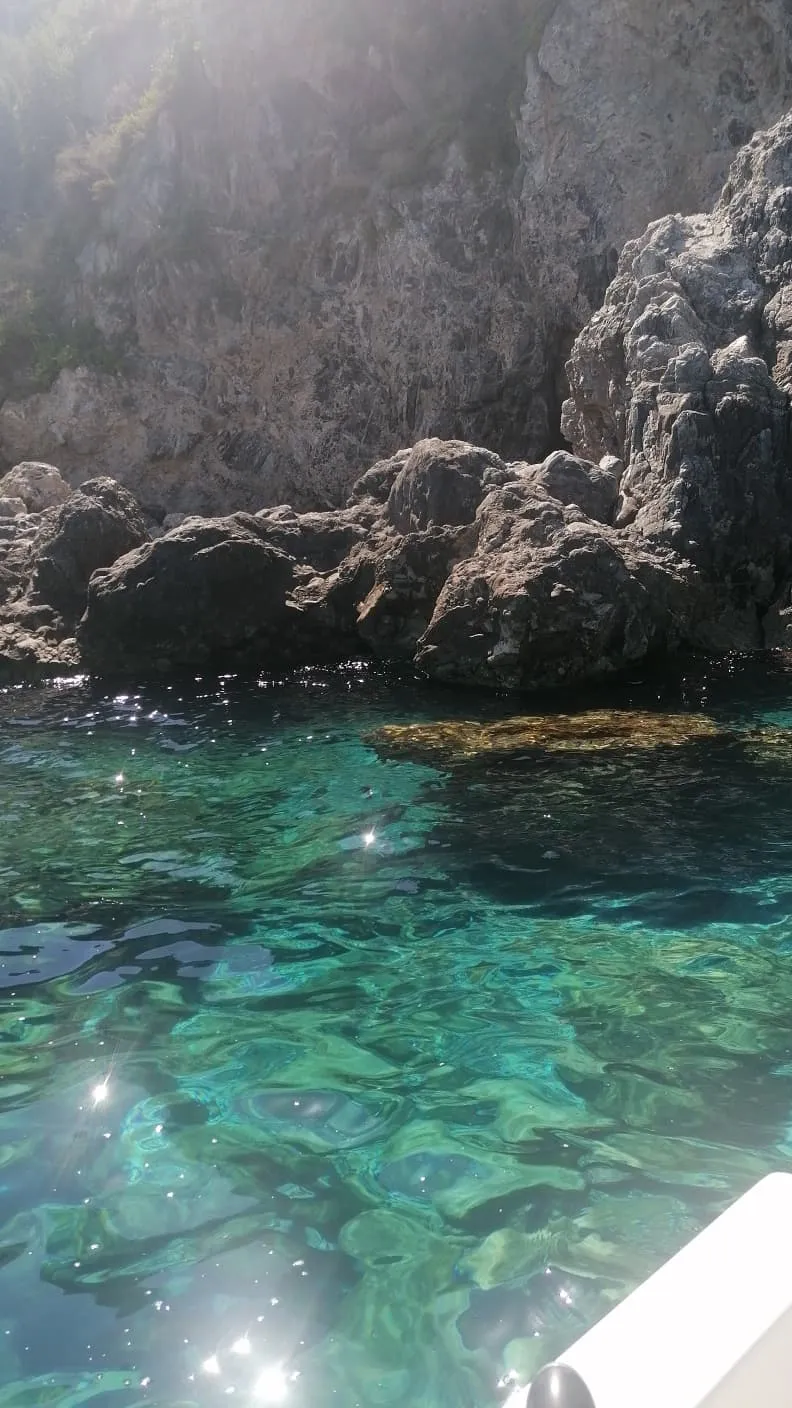 Scilla