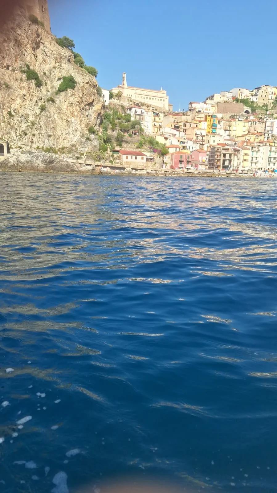Scilla